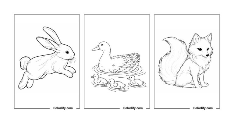10+ Animal Coloring Pages for Kids & Adults | Free PDF Printables