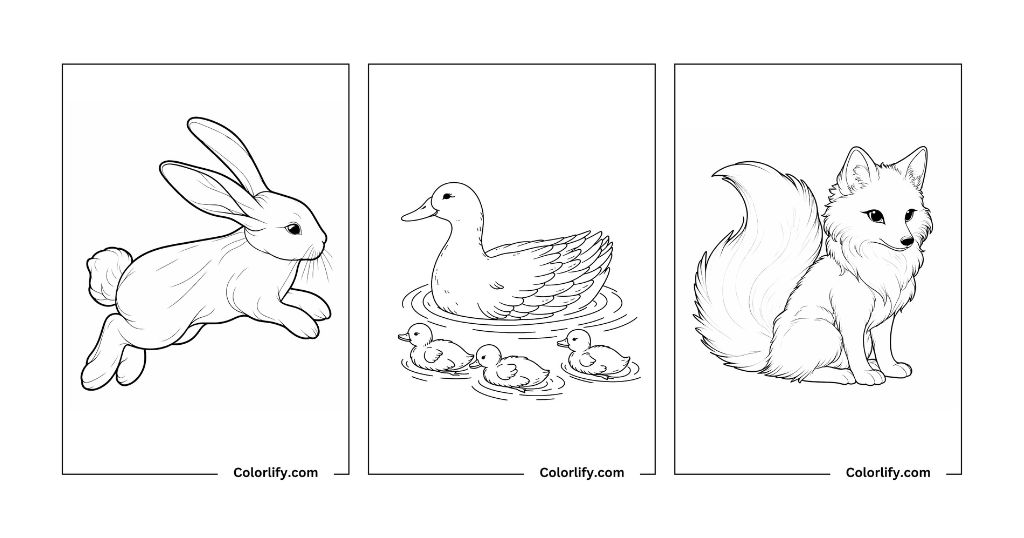Animal Coloring Pages