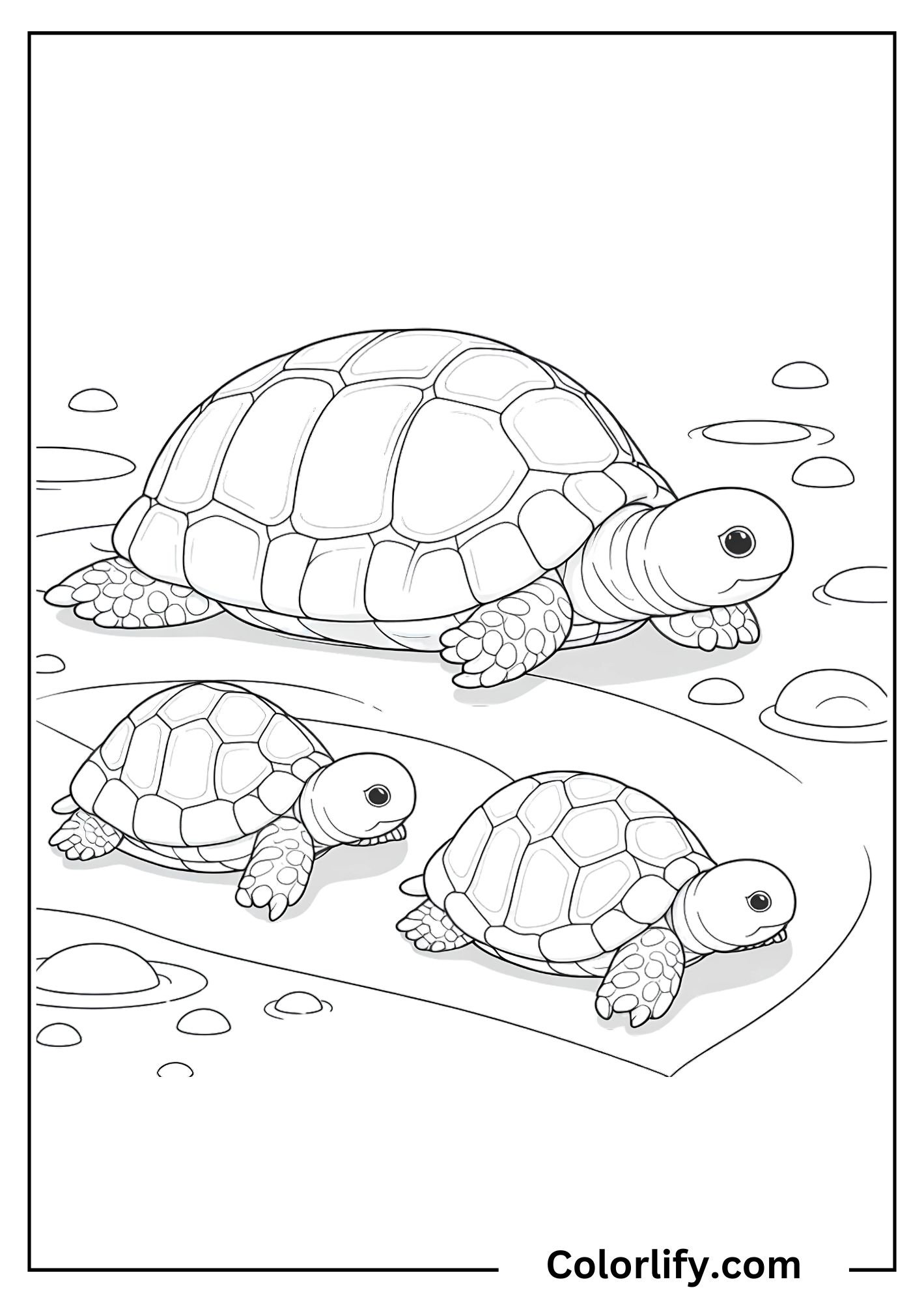 Turtle Coloring Pages for Kids & Adults | Free PDF Printables