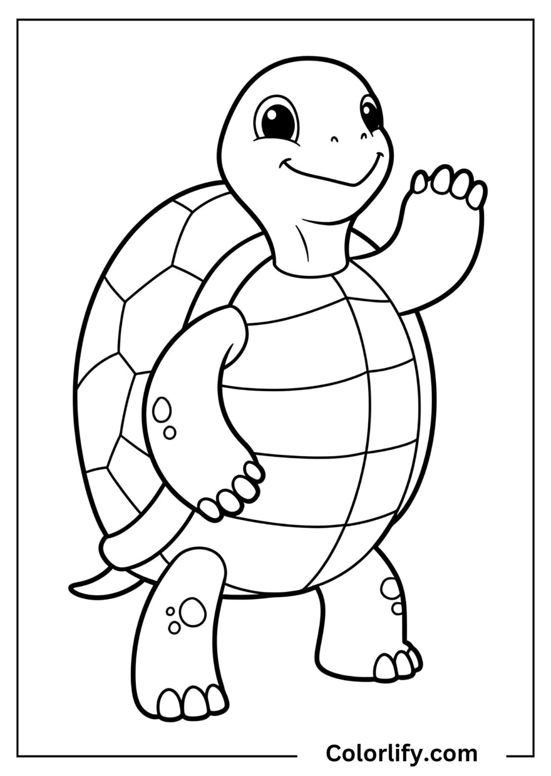 Turtle Coloring Pages for Kids & Adults | Free PDF Printables